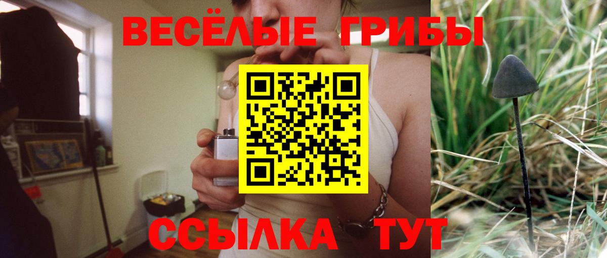 Псилоцибиновые грибы Magic Shrooms Пугачёв