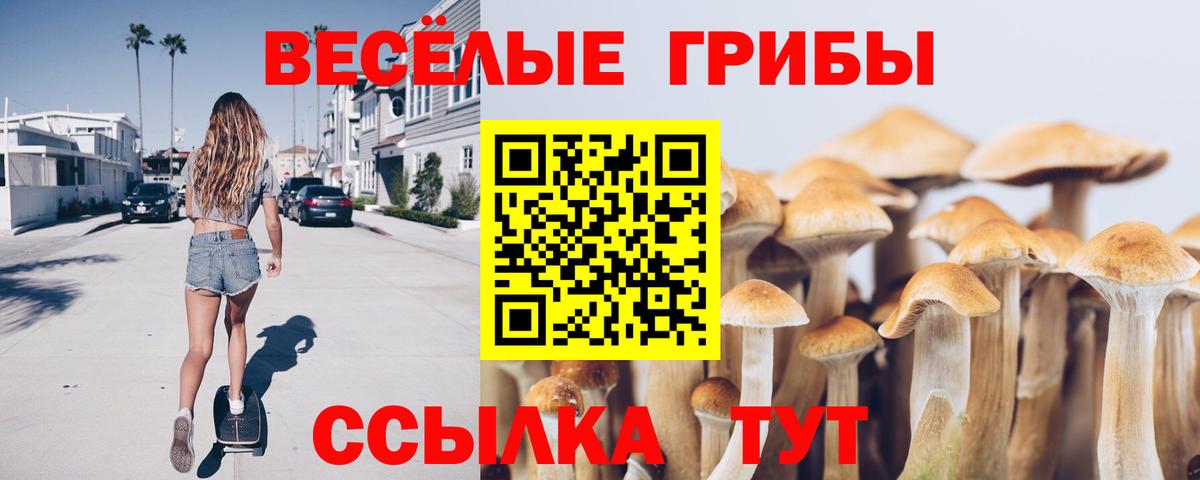 Галлюциногенные грибы Psilocybine cubensis  Галлюциногенные грибы Psilocybe  Пугачёв  Вход с VPN 